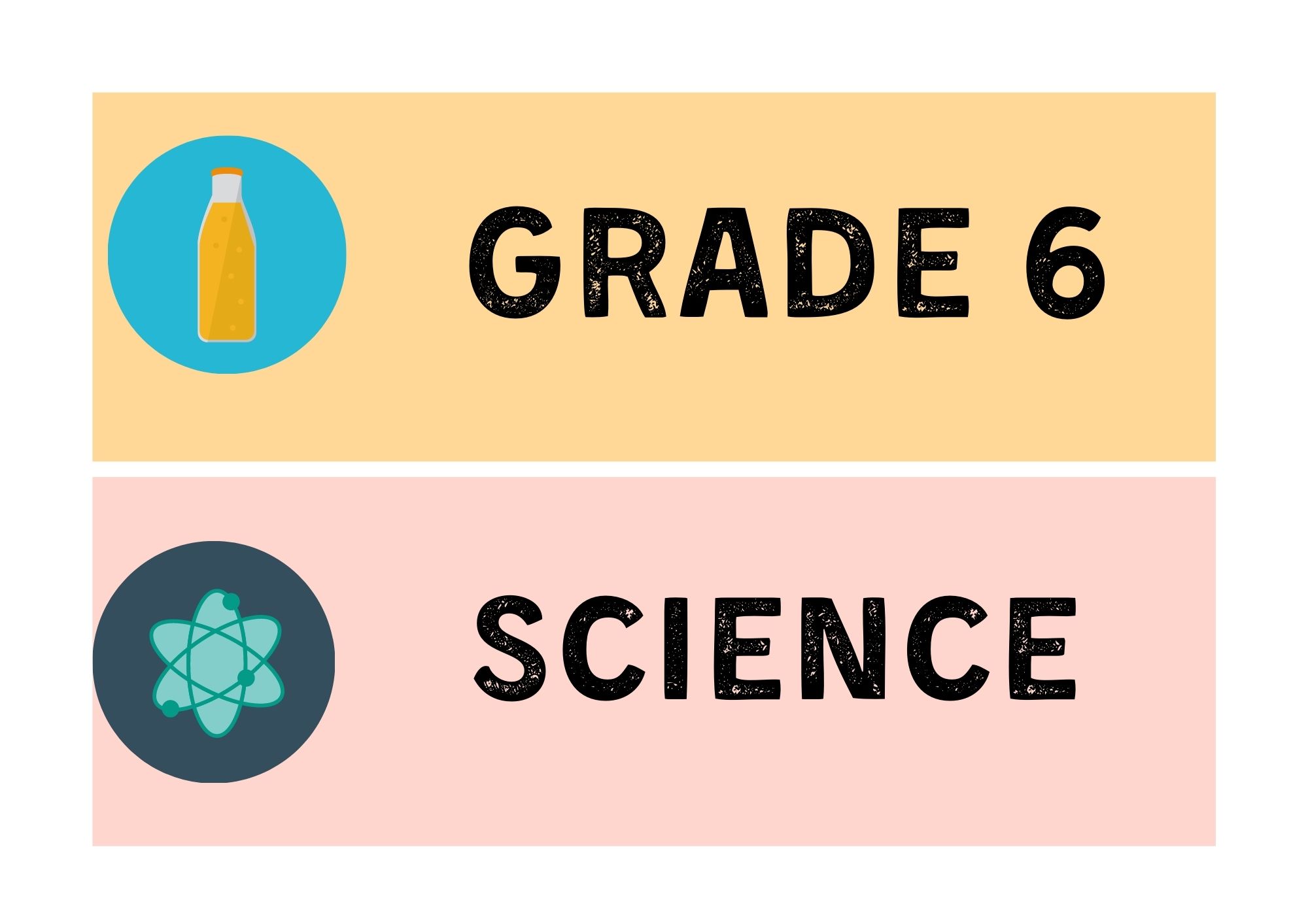 GRADE 6- SCIENCE